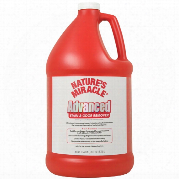 Nature's Miracle Advance Stain & Odor Remover (gallon)