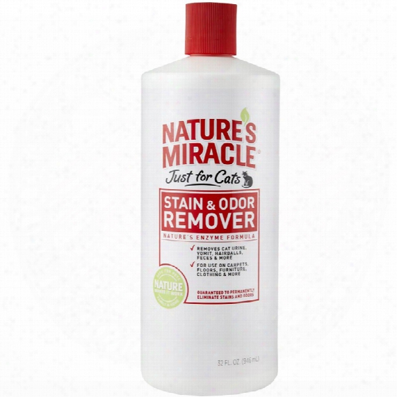 Nature's Miracle Just For Cats Stain & Odor Remover (32 Oz)