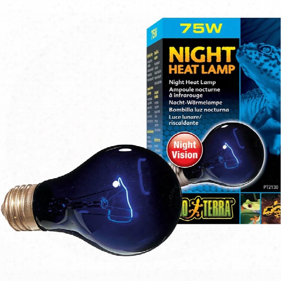 Night Glo Neodymium Moonlight Lamp (75 Watts)