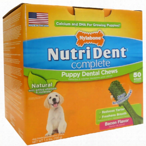 Nutri Dent Puppy Dental Chew Bacon - Small (50 Count)