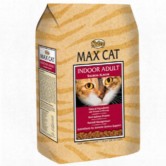 Nutro Max Cat Salmon - Indoor Adult (16 Lb)