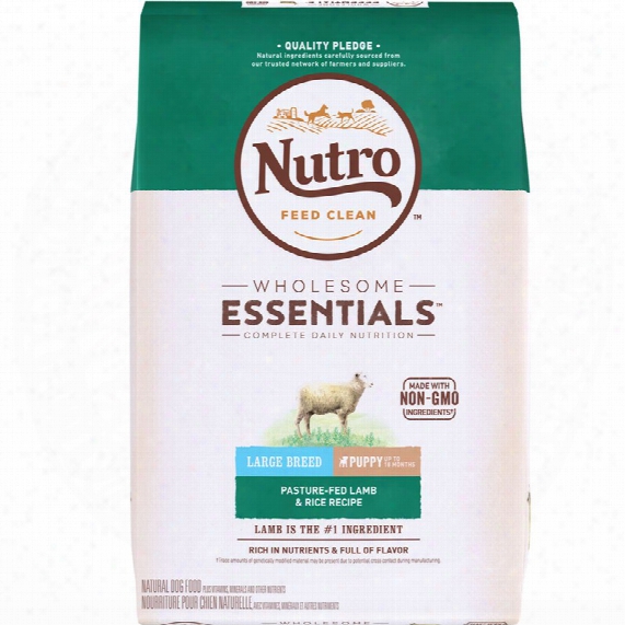 Nutro Wholesome Essentials Large Breed Pasture-fed Lamb & Rice - Puppy (15 Lb)