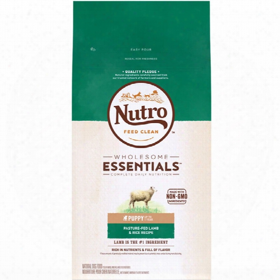 Nutro Wholesome Essentials Puppy Lamb & Rice Recipe (15 Lb)