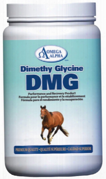 Omega Alpha Dimethyl Glycine - Dmg (1 Lb)