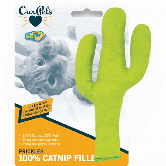 Ourpets Cosmic Catnip Cactus Cat Toy - Prickles