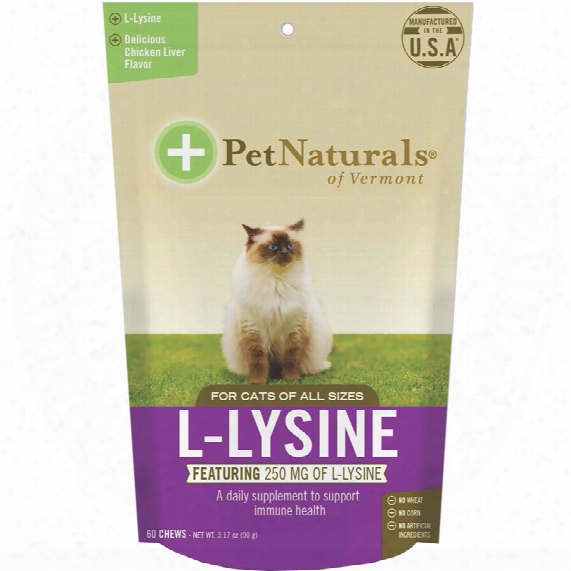 Pet Naturals L-lysine Chews For Cats (60 Count)