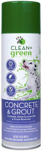 Clean & Green Concrete + Grout For Dogs & Cats (14 Oz)
