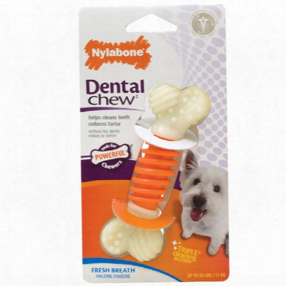 Nylabone Pro Action Dental Dog Chew - Small