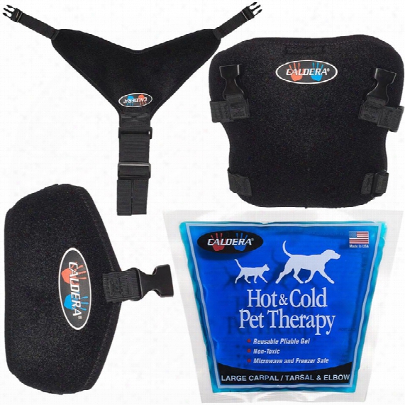 Pet Therapy Wrap With Therapy Gel - Tarsal (large)