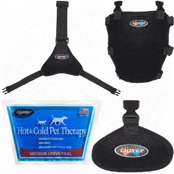 Pet Therapy Wrap With Therapy Gel - Tarsal (medium)