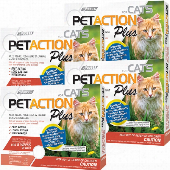 Petaction Plus Flea & Tick Treatment For Cats - 12 Month