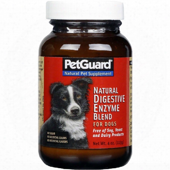 Petguard Natural Digestive Enzyme Blend For Dogs (4 Oz)