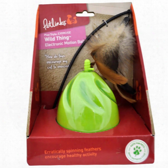 Petlinks Wild Being  Electronic Motion Ball
