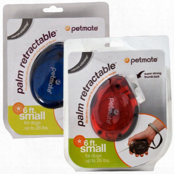 Petmate Palm Retractable Leash - Small (assorted Colors)