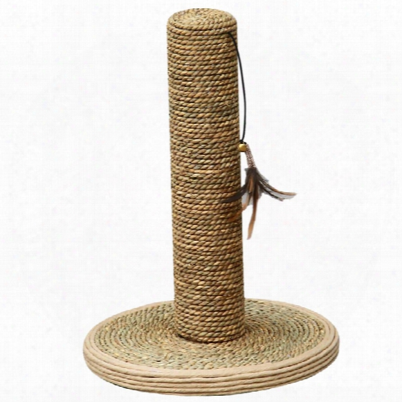 Petpals Seagrass Scratching Post