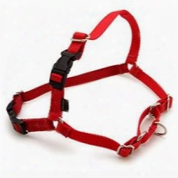 Petsafe Easy Walk Harness - Red (xlarge)