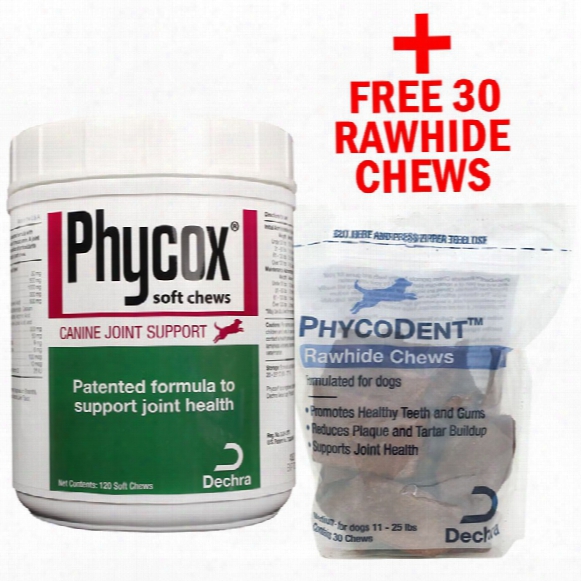 Phycox Soft Chews (120 Count) + Free Phycodent Chews - Medium