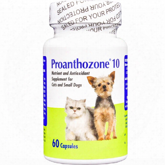 Proanthozone 10mg For Cats And Small Dogs 60 Caps