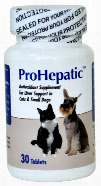 Prohepactic Liver Support Supplement For Cats & Small Dogs (30 Tablets)