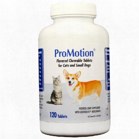 Promotion For Small Dogs/cats (120 Tablets)