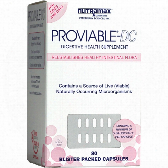 proviable-dc-80-capsules-for-cats-and-dogs-the-web-sport-world-dot-com