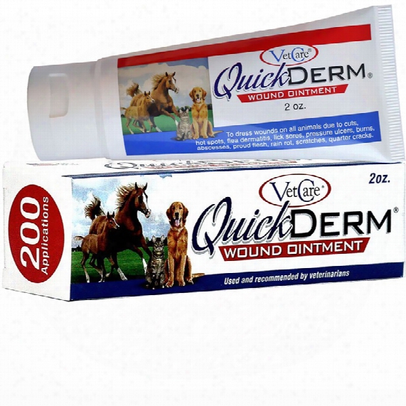 Quickderm Advanced Wound Ointment Tube (2 Oz)
