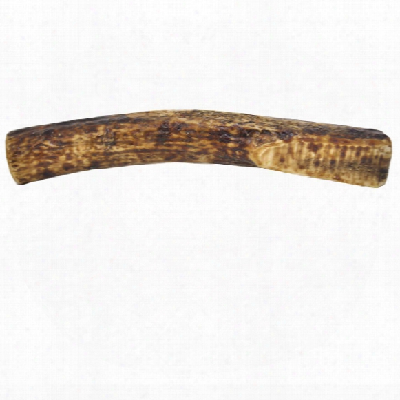 Redbarn Bully Coated Antler Dog Chew - Solid (x-large)