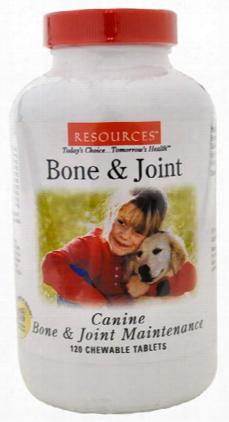 Vet Classics Bone & Joint Maintenance Plus For Canine (120 Tablets)