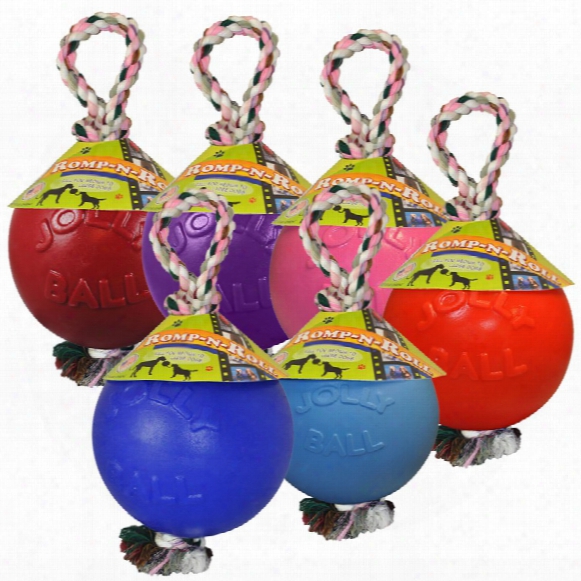 Jolly Pets Romp-n-roll (8 In.) - Assorted