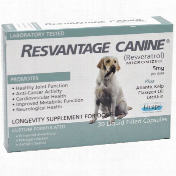 Resvantage Canine (30 Capsules)