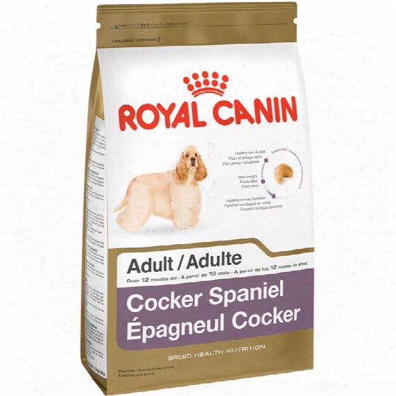 Royal Canin Breed Health Nutrition Poodle (10 Lb)