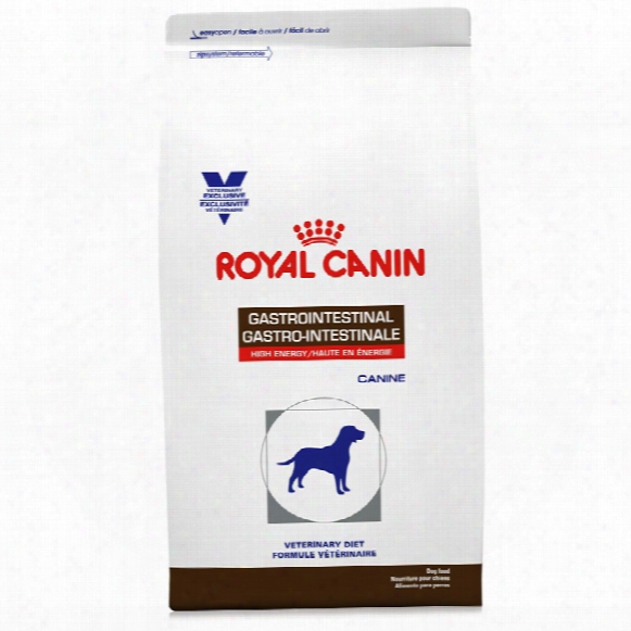 Royal Canin Canine Gastrointestinal High Energy Dry (22 Lb)