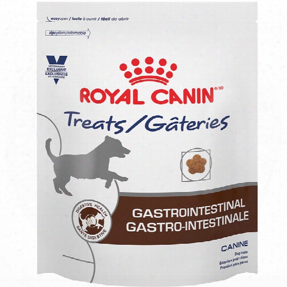 Royal Canin Gastrointestinal Canine Treats (17.6 Oz)