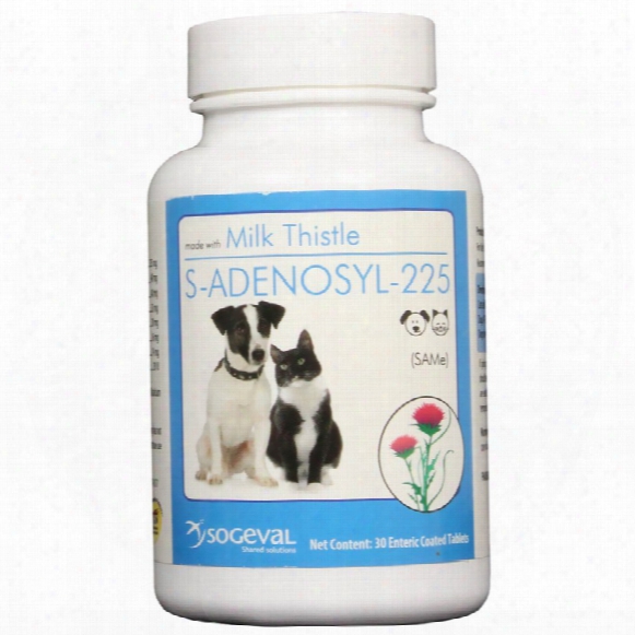 S Adenosyl 225 (same) For Medium / Large Dogs - 225 Mg (30 Tabs)