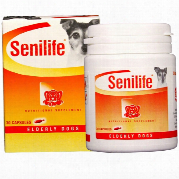 Senilife Nutritional Supplement For Elderly Dogs (30 Caps)