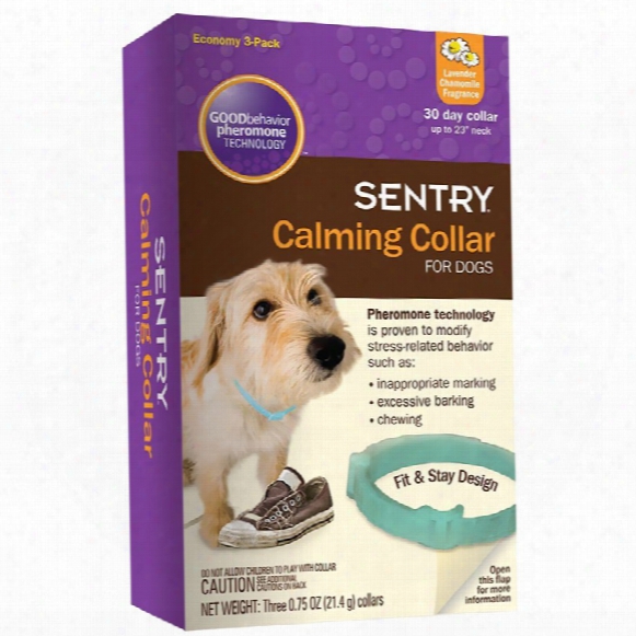 Sentry Calming Collar For Dogs (3 Pack)