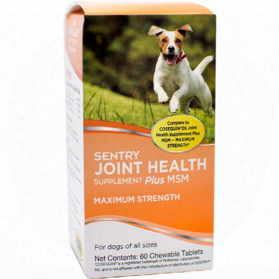 Sentry Joint Health Supplement Plus Msm - Maximum Strength (60 Chewable Tablets)