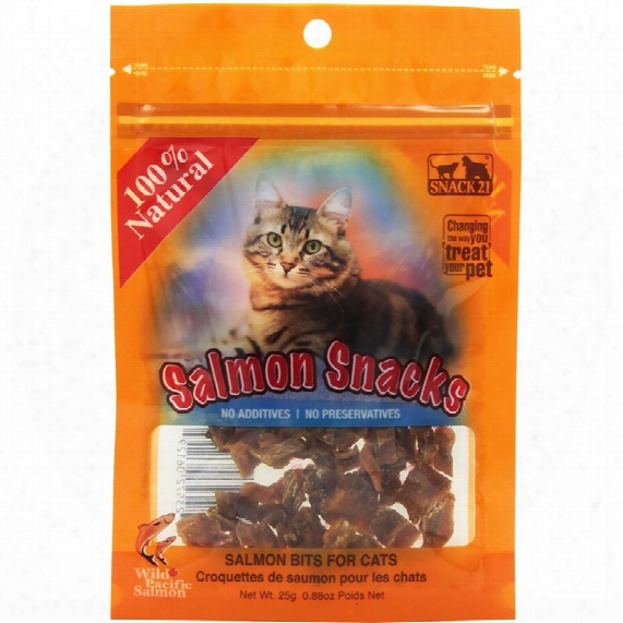 Snack 21 Salmon Snacks For Cats (25 G)