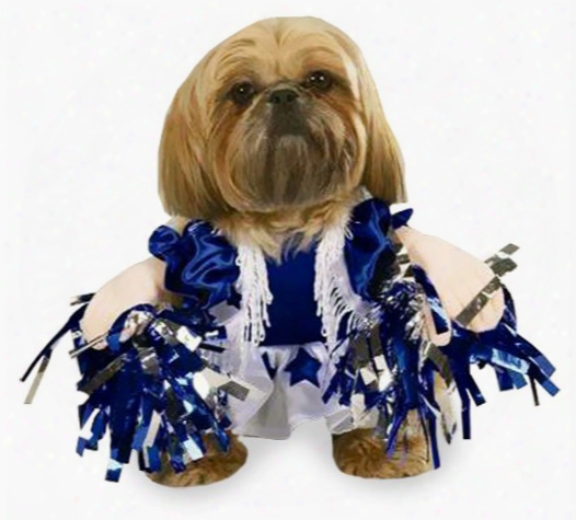 Spirit Paws Dog Costume - Xlarge