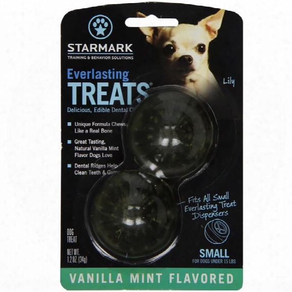 Starmark Everlasting Treats Vanilla & Mint - Small