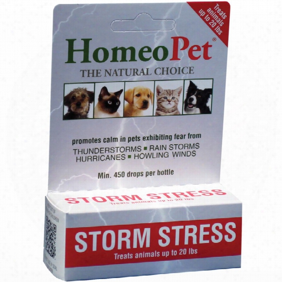 Storm Stress For Dogs (up To 20 Lbs)