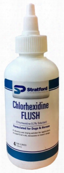Stratford Chlorhexidine Flush (4 Oz)