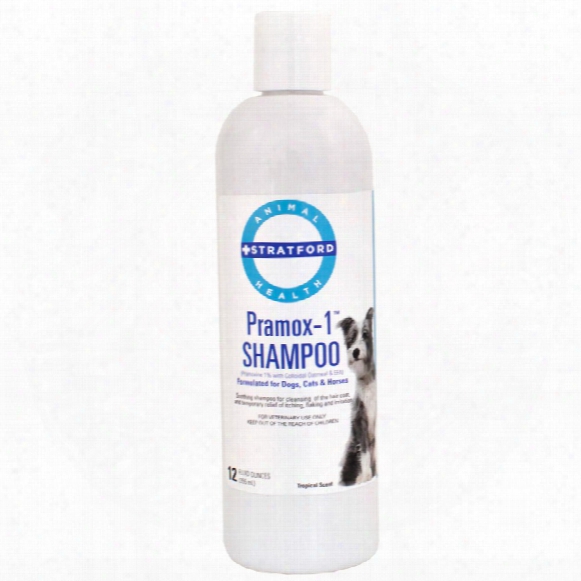 Stratford Pramox-1 Oatmeal Shampoo (12 Oz)