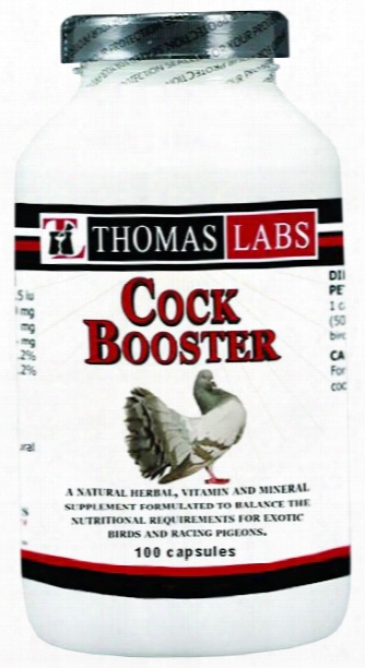 Thomas Labs Cockbooster (100 Count)