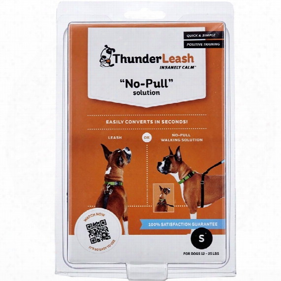 Thunderleash - Small Dogs (12-25 Lbs)