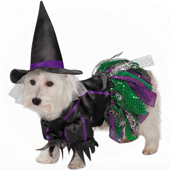 Zack & Zoey Scary Witch Dog Costume - Large