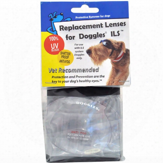 Clear Replacement Lens For Ils Style Doggles