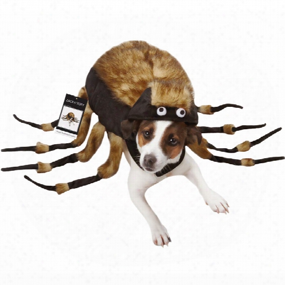 Fuzzy Tarantula Dog Costume - Large