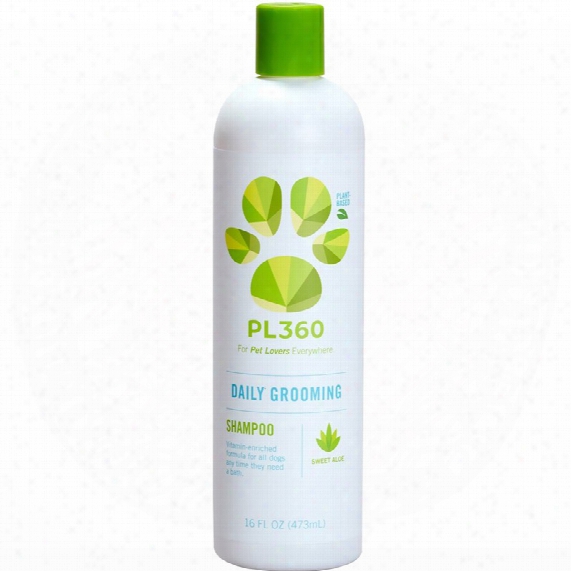 Pl360 Daily Grooming Shampoo (16 Oz)