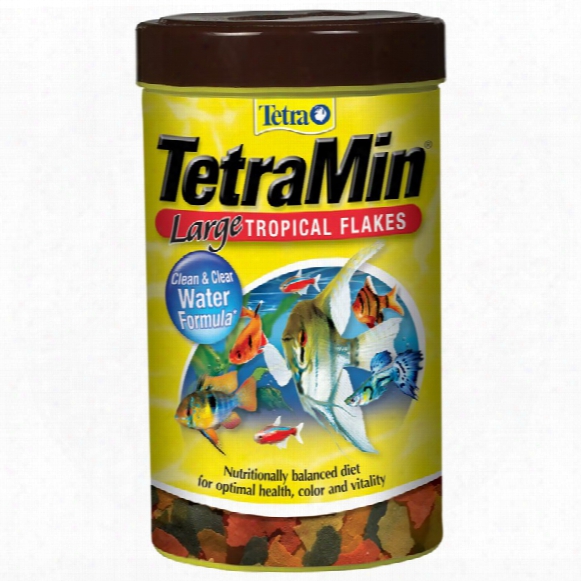 Tetramin Large Tropical Flakes (5.65 Oz)